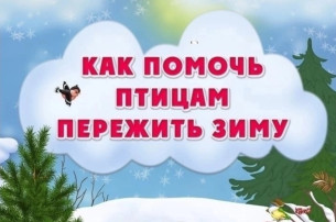 Как помочь птицам пережить зиму? Как помочь птицам пережить зиму?.