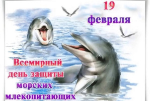 19 февраля - Всемирный день защиты морских млекопитающих (День кита). 19 февраля - Всемирный день защиты морских млекопитающих (День кита).