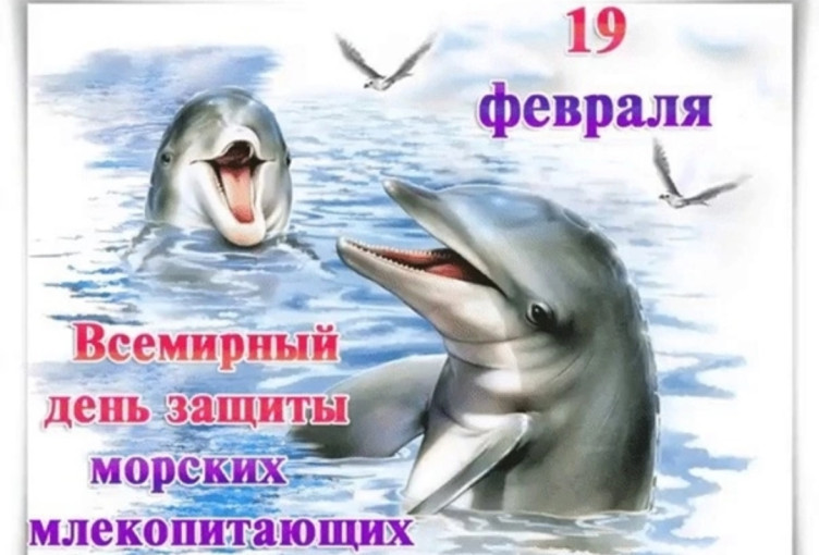 19 февраля - Всемирный день защиты морских млекопитающих (День кита). 19 февраля - Всемирный день защиты морских млекопитающих (День кита).