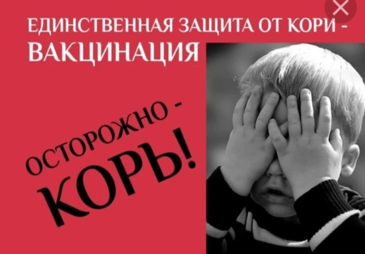 Осторожно - КОРЬ! Осторожно - КОРЬ!.