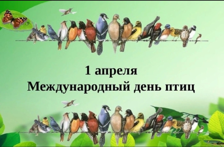 «Международный день птиц» — экологический праздник, отмечающийся ежегодно в день 1 апреля. «Международный день птиц» — экологический праздник, отмечающийся ежегодно в день 1 апреля.